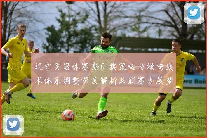 辽宁男篮休赛期引援策略与杨鸣战术体系调整深度解析及新赛季展望