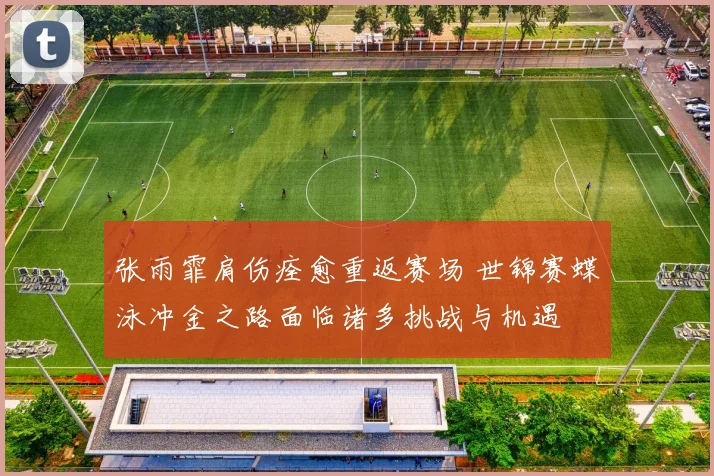 张雨霏肩伤痊愈重返赛场 世锦赛蝶泳冲金之路面临诸多挑战与机遇